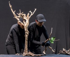 Bois by Puzzle Théâtre at the Children's Museum & Theatre of Maine at the Children's Museum & Theatre of Maine @ Children's Museum & Theatre of Maine | Portland | Maine | United States