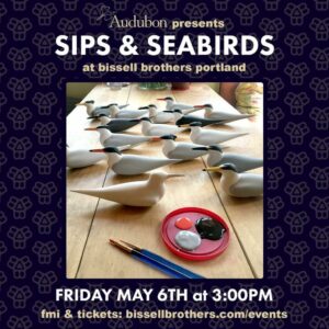 SIPS & SEABIRDS WITH HOG ISLAND AUDUBON at Bissell Brothers @ Bissell Brothers | Portland | Maine | United States