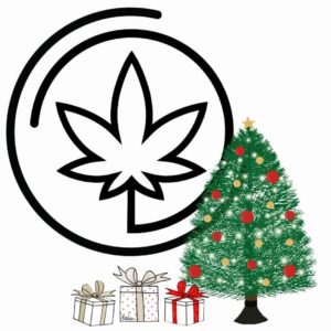 Women's Cannabis Connection Toy Drive @ Vivid Studios Gallery | South Portland | Maine | United States