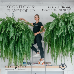 Yoga Flow and Plant Pop Up at Austin Street Brewery @ Austin Street Brewery | Portland | Maine | United States