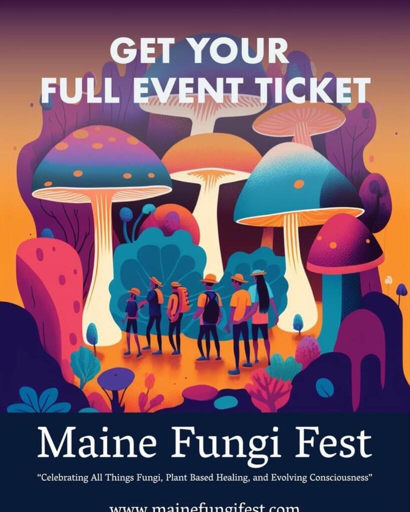 Maine Fungi Fest Portland Old Port Things To Do in Portland, Maine