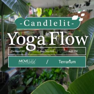 Move Wild: Cozy Candlelight Yoga at Terrarium @ Terrarium | Portland | Maine | United States