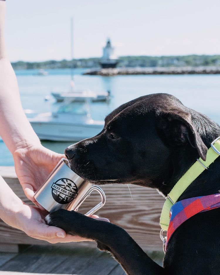 Ales for Tails for ARLGP @ Spring Point Ledge Lighthouse | South Portland | Maine | United States