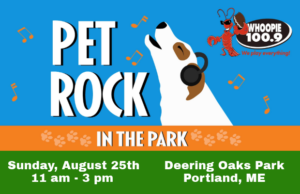 Pet Rock in the Park at Deering Oaks Park @ Deering Oaks Park | Portland | Maine | United States