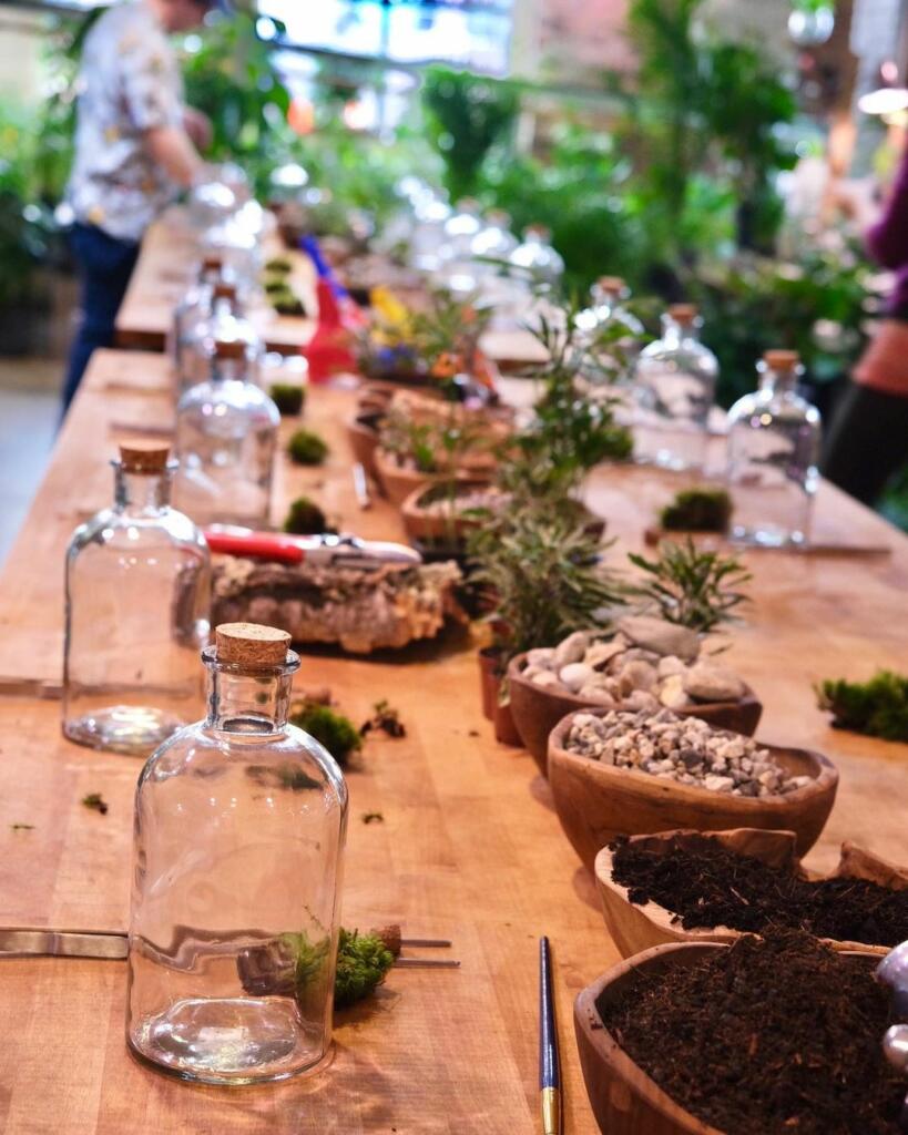 Botanical Mocktail & Terrarium Workshop at Terrarium @ Terrarium | Portland | Maine | United States