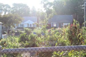 End of Year Garden Clean Up @ Libbytown Community Garden | Portland | Maine | United States