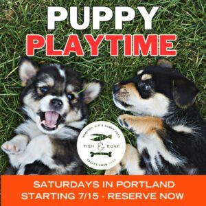 Puppy Playtime at The Fish & Bone @ The Fish & Bone | Portland | Maine | United States