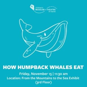 How Humpback Whales Eat at The Children's Museum & Theatre of Maine @ The Children's Museum & Theatre of Maine | Portland | Maine | United States