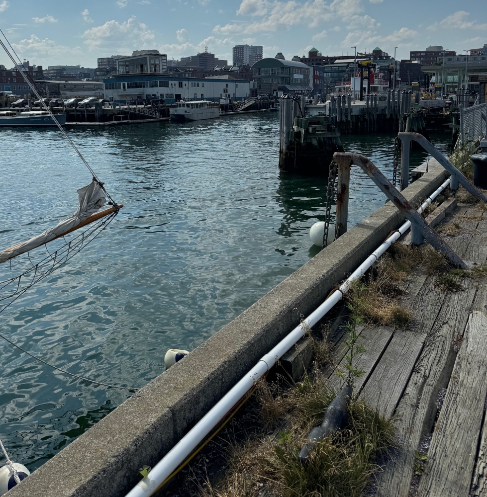 Maine State Pier in 2024