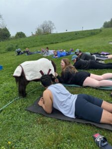 Mini Horse Yoga on the Eastern Promenade @ Eastern Promenade Eastern Promenade Portland, ME 04101 | Portland | Maine | United States