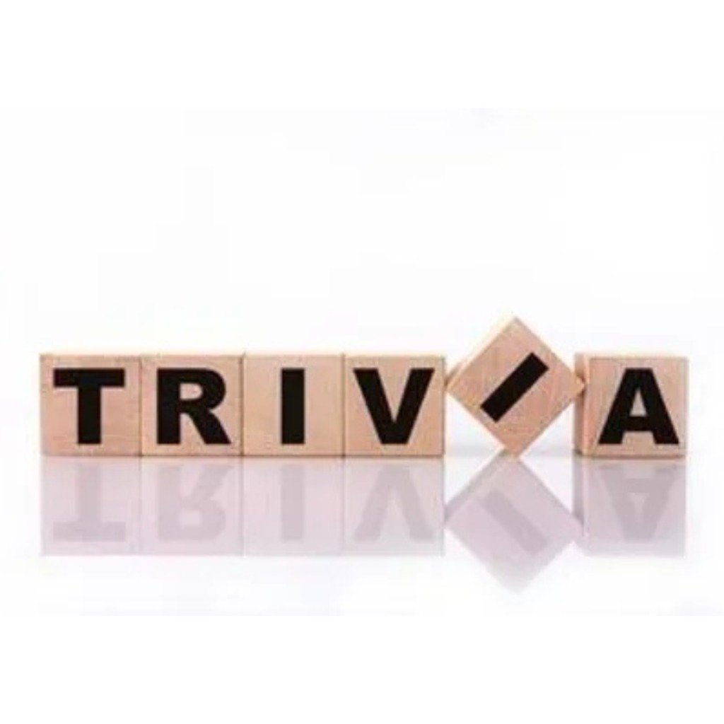 Trivia nights at Novel @ Novel | Portland | Maine | United States